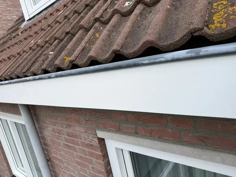 GEVEL REINIGEN